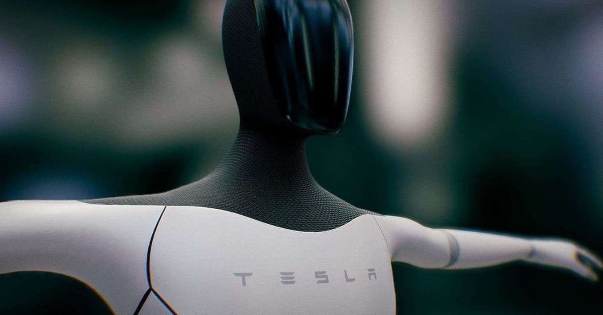 bot de tesla optimus